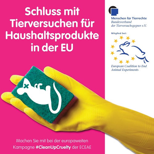 BV kampagne haushalt -web